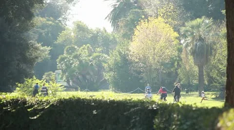 People at park Stock Footage 8924920