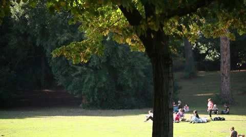 People at park Stock Footage 8925137