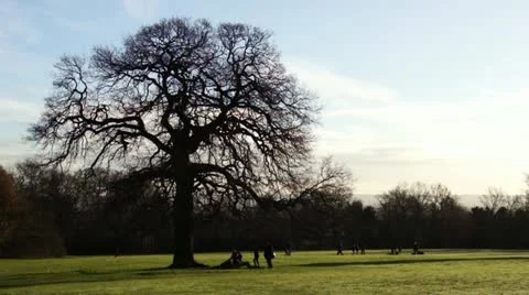 People in the park Stock-Footage 21884506