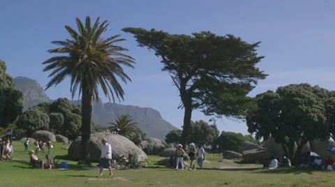 People in park Stock Footage 27226124