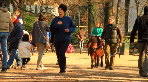 People in the park Stock Footage 35614473