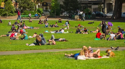 People in the park Stock Footage 36517952