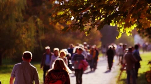 People in a park Stock Footage 42648711