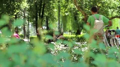 People in The Park Stock Footage 46123063