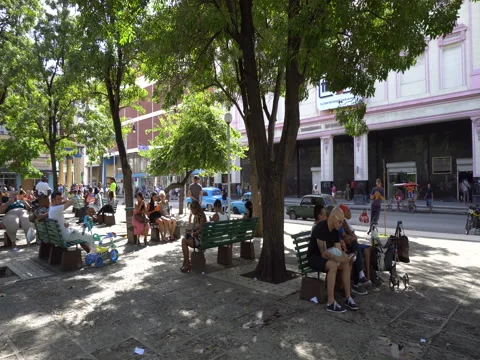 People in the park Video stock 70952018