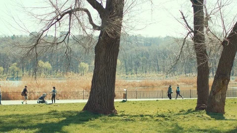 People in the park Stock Footage 88311524