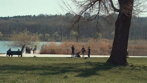 People in the park Stock Footage 88311712