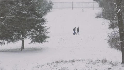 People in the park Stock Footage 111045158