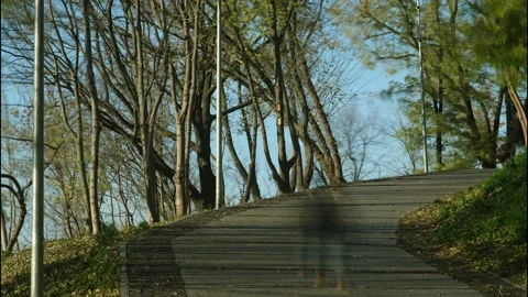 People in the park Stock Footage 163763432