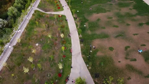 People in the park Stock Footage 238801257