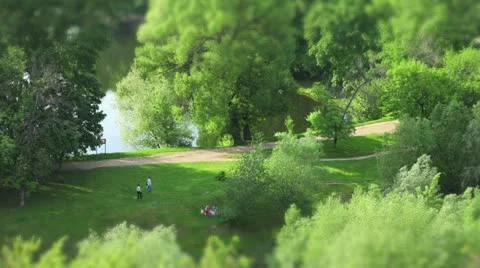 People in park Time Lapse Stock Footage 11115711