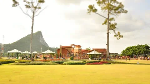People in the park - Time lapse 動画素材 20224566