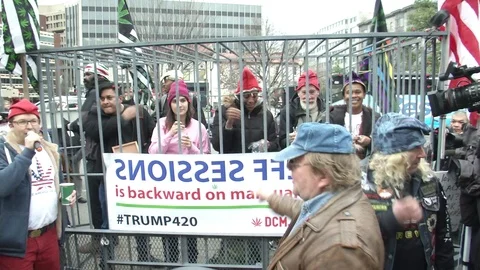 People Pass out Joints Pro-Marijuana Inaugural Protest 스톡 동영상 71809198