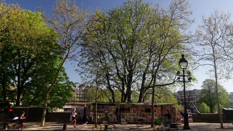 People passing through Parisian streets over the Seine River Stock Footage 310335802