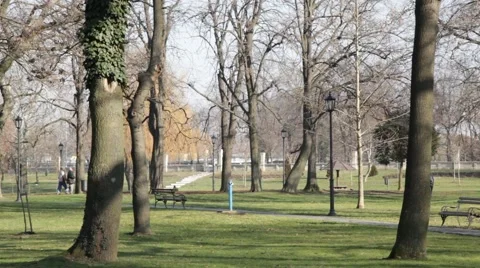 People passing through the park Stock Footage 42330749