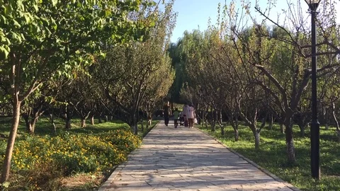 People on the path in the park time lapse Stock Footage 82117299