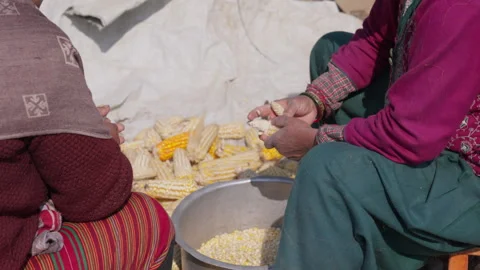 People Peeling Corn Nepal 스톡 동영상 316073259