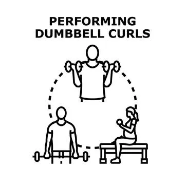 People performing dumbbell curls exercise for fitness Stock Illustration