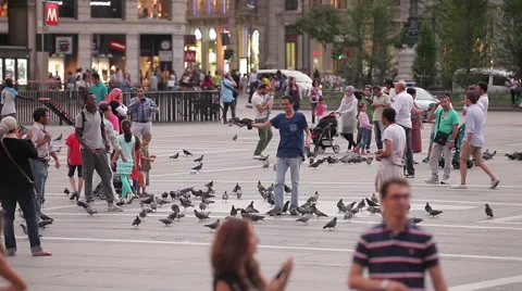People on the Piazza Duomo Stock Footage 61576045
