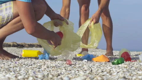 People pick up plastick trash. Stock Footage 116263459