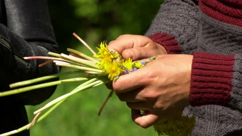 People picking a bouquet of dandelions in a summer green meadow Stock Footage 130972553