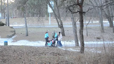 People in a pine park 库存影片 72953088