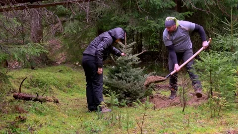 People planting a new tree Vidéo 146070372