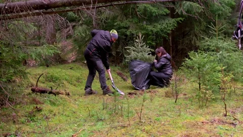 People planting a new tree 库存影片 146072776