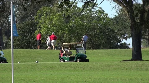 People play golf, Georgia, USA Stock Footage