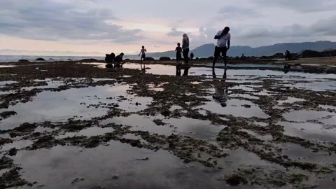 People playing on the beach at low tide Stock Footage 235647825