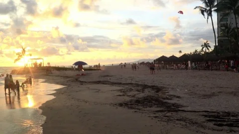 People playing on the beach, sunset Stock Footage 81183295
