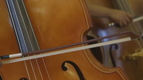 People playing the Cello Stock Footage 121168116