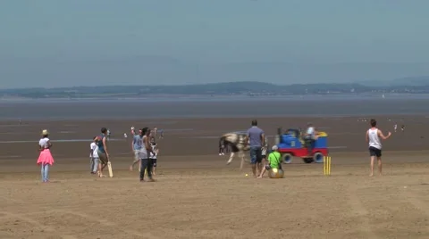 People playing cricket on beach Stock Footage 51749245