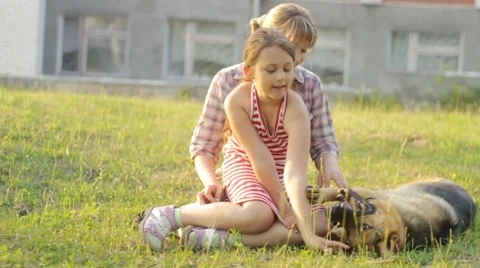 People playing with German shepherd Stock-Footage 51342552