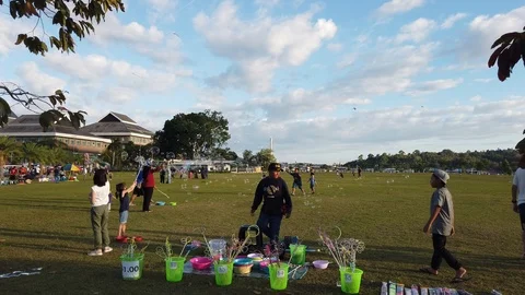 People playing kites and bubbles Video stock 100939840
