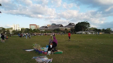People playing kites and bubbles Stock Footage 100941210