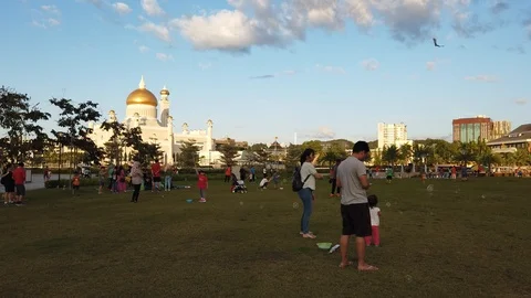 People playing kites and bubbles Video stock 100941830