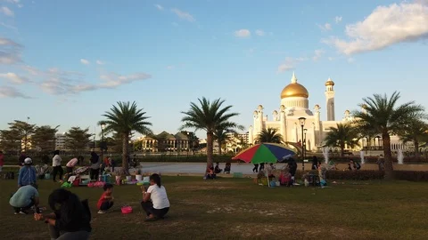 People playing kites and bubbles Stock Footage 100942055
