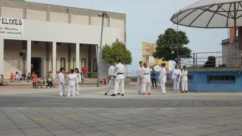 People playing Nihon Tai Jitsu in the open air Stock Footage 219237938