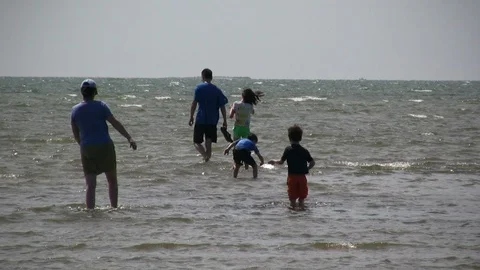 People Playing in Ocean Surf off Cape Cod Stock Footage 106725527