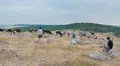 The people prepare to shot the film scene with a cow in the mountain. Time lapse 4k or 4k+ Resolution
