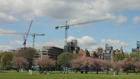 People preparing a cricket match in the park Stock-Footage 11017367