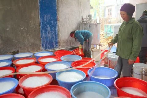 People processing Kudzu flour Stock Photos