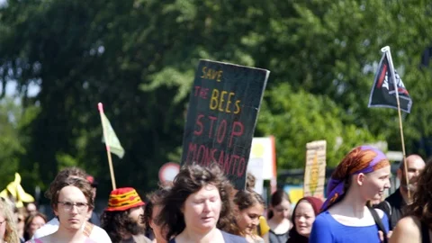 People protest, Save the Bees stop Monsanto sign, march against GMO, Hamburg Stock Footage 93732412