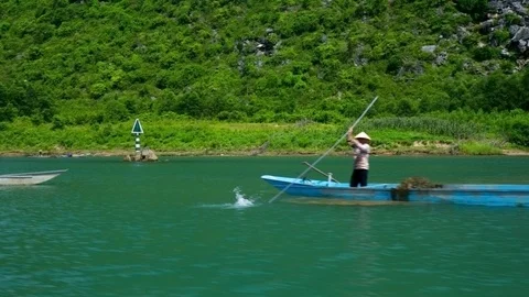 People pull algae with stick from river bottom Stock Footage 100190611