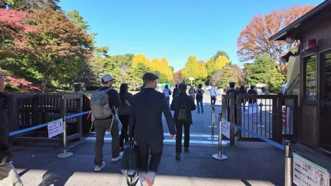 People queue at the entrance gate to a scenic autumn park. 库存影片 346012698