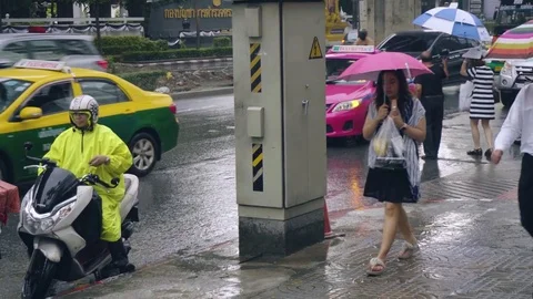 People in rain walking on sidewalk Stock Footage 81569594