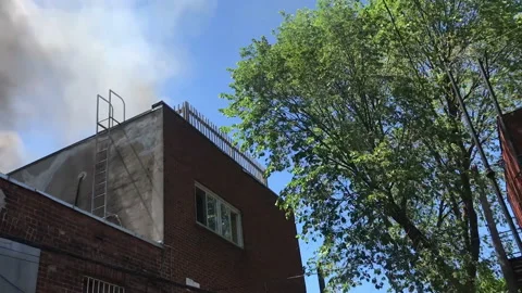 People react to a recently started fire Stock Footage 169414382