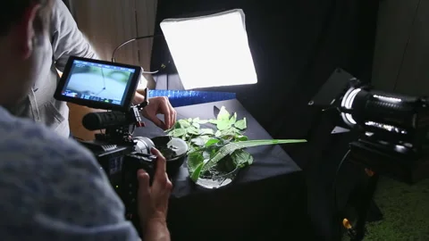 People record leaf dipping into water at professional camera Stock Footage 231215084