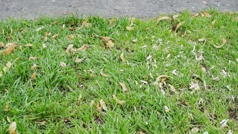 People reflection Stock Footage 78610827